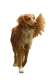 Apportierhunde - Stöberhunde - Wasserhunde