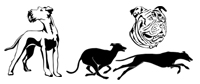 SAPHON 3D Hunde Aufkleber Autoaufkleber 30Cm Shiba Inu Aufkleber Aufkleber  Hunde Haustier Aufkleber Lustige Hunde Aufkleber Shiba Inu Aufkleber Auto Aufkleber  Autoaufkleber Laptop Aufkleb : : Auto & Motorrad