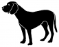 Preview: Schweizer Sennenhund stehend Silhouette