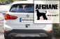 Preview: Aufkleber "Afghane ...was sonst?"