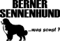 Preview: Aufkleber Berner Sennenhund