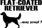 Preview: Aufkleber Flat-coated Retriever
