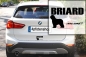 Preview: Aufkleber "Briard ...was sonst?"