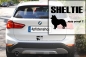 Preview: Aufkleber "Sheltie ...was sonst?"