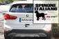 Preview: Aufkleber "Spinone Italiano ...was sonst?"