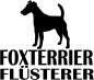 Preview: Aufkleber Foxterrier