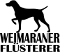 Preview: Aufkleber Weimaraner