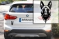 Preview: Autoaufkleber "Malinois" Kopf