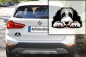 Preview: Autoaufkleber "Bearded Collie" Kopf