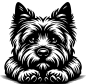 Preview: Aufkleber Cairn Terrier Kopf