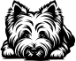 Preview: Aufkleber West Highland Terrier Kopf