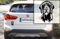 Preview: Autoaufkleber "Pudelpointer" Kopf