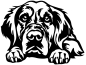 Preview: Aufkleber Golden Retriever Kopf