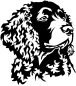 Preview: Aufkleber American Water Spaniel Kopf