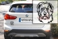 Preview: Autoaufkleber "Irish Glen of Imaal Terrier" Kopf