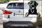 Preview: Autoaufkleber "Labrador" Kopf