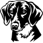 Preview: American Foxhound