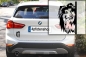 Preview: Autoaufkleber "Sheltie" Kopf
