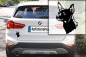 Preview: Autoaufkleber "Russkiy Toy" Kopf