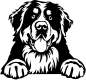 Preview: Aufkleber Berner Sennehund Kopf