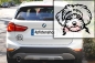 Preview: Autoaufkleber "Maltipoo" Kopf