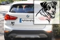 Preview: Autoaufkleber "Jack Russell Terrier" Kopf