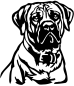 Preview: Aufkleber Boerboel Kopf