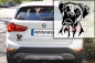 Preview: Autoaufkleber "Boxer" Kopf