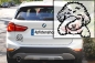 Preview: Autoaufkleber "Bologneser" Kopf