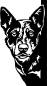 Preview: Aufkleber cattle dog Kopf