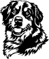 Preview: Aufkleber Berner Sennenhund