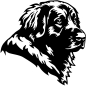 Preview: Aufkleber Leonberger Kopf
