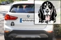 Preview: Autoaufkleber "Basset Bleu de Gascoyne" Kopf