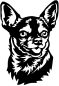 Preview: Aufkleber Chihuahua Kopf