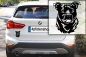 Preview: Autoaufkleber "Staffordshire Bullterrier" Kopf