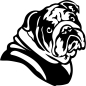 Preview: Englische Bulldogge Kopf