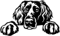 Preview: Aufkleber Boykin Spaniel