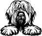 Preview: Aufkleber Briard