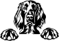 Preview: Aufkleber Irish Setter