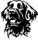 Preview: Aufkleber Flat-coated Retriever Kopf