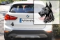 Preview: Autoaufkleber "Podenco" (Rauhaar) Kopf