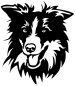 Preview: Aufkleber Border Collie