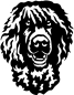 Preview: Aufkleber Irish Water Spaniel