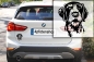 Preview: Autoaufkleber "Deutsch Drahthaar" Kopf