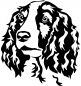 Preview: Aufkleber Welsh Springer Spaniel Kopf