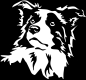 Preview: Aufkleber Border Collie