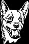 Preview: Aufkleber Australian Cattle Dog Kopf