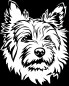 Preview: Aufkleber Cairn Terrier Kopf