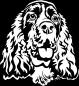 Preview: Aufkleber Springer Spaniel Kopf