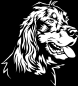 Preview: Aufkleber Irish Setter